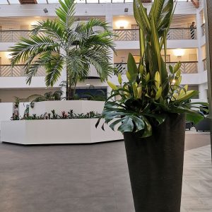 Préparatifs évènement professionnel grandes compositions florales à Anglet
